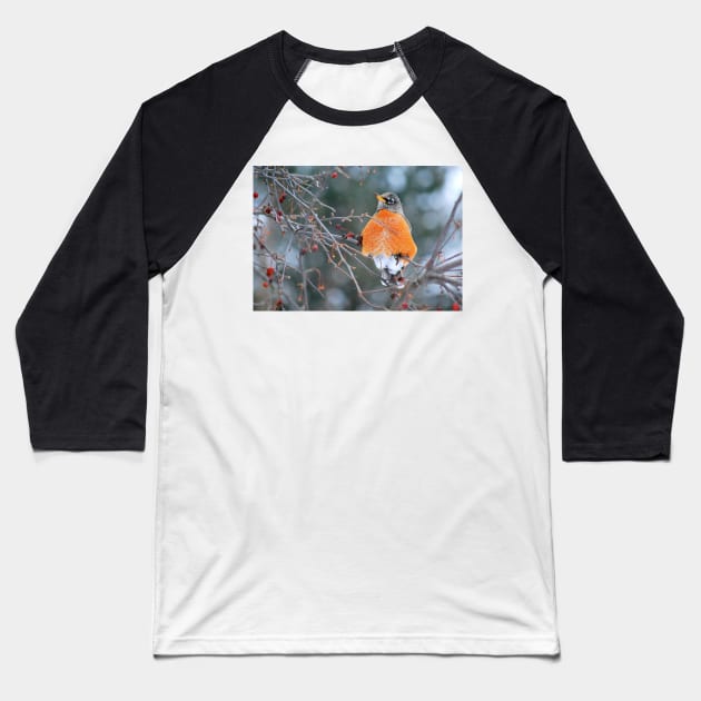 Robin in Winter #3 Baseball T-Shirt by LaurieMinor